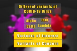 Different variants of SARS-COV-2 Alpha, Delta, Iota, Lambda and Variants of Interest and Concern