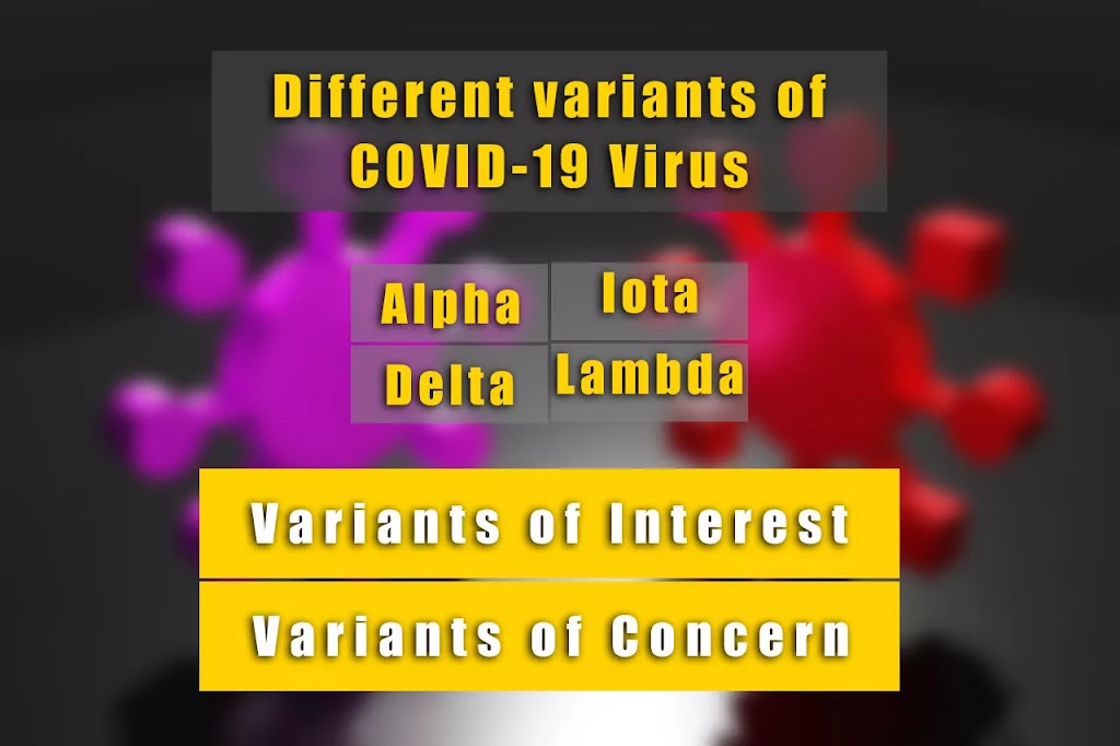 different 2Bvariants 2Bof 2Bcoronavirus